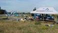 IMG 0342lr